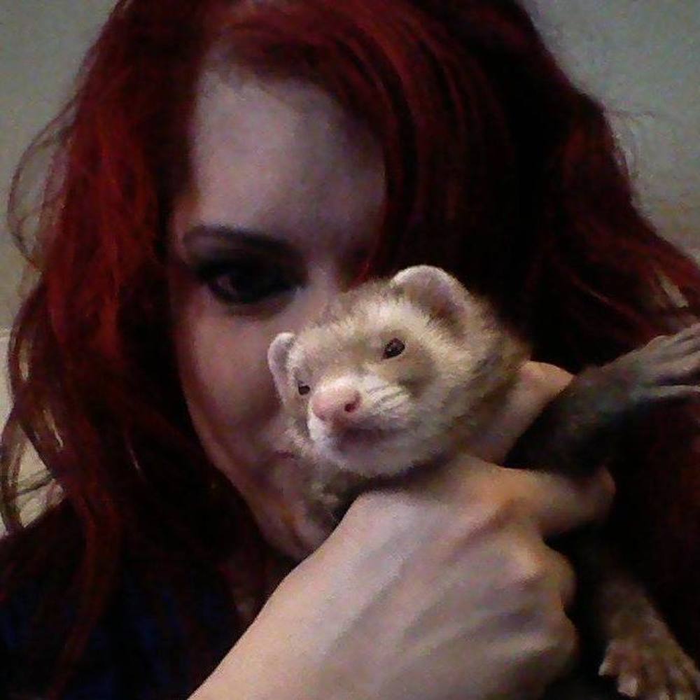 Meet your Posher, Phoenix